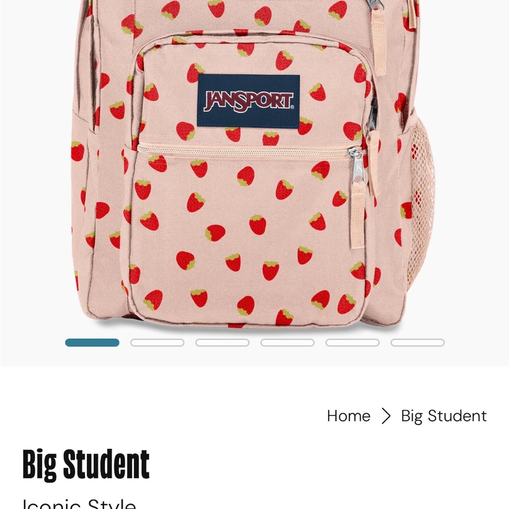 JanSport XL Backpack in Pink with Strawberry ๐ Shower Design - Picture 9 of 13